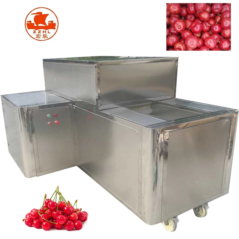 Best Cherry Seed Remove Machine Date Olive Fruit Pitting Machine