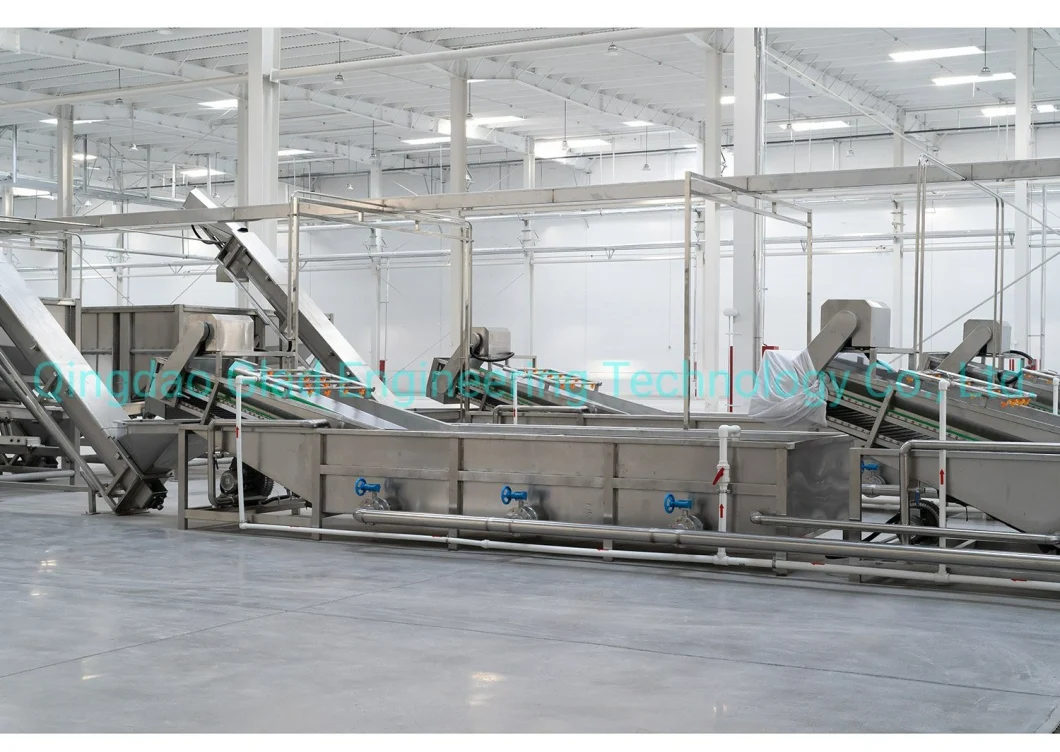Factory Price Industrial Date Apple Carrot Fruit and Vegetable Washing Cleaning Machine Sweet Potato Washer for Sale