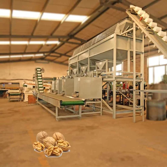 Equipment for Cleaning Walnut Shell Crusher Commercial Walnut Macadamia Nut Sheller Huller Machine