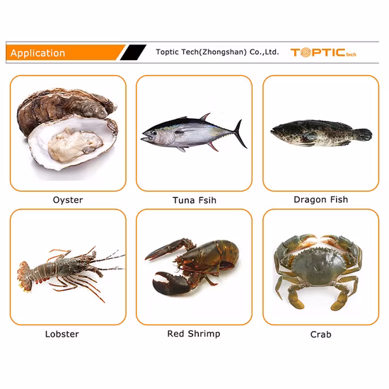 Ty-Jyh103p85-01-12 Fruit Accurate Weight Grading Machine