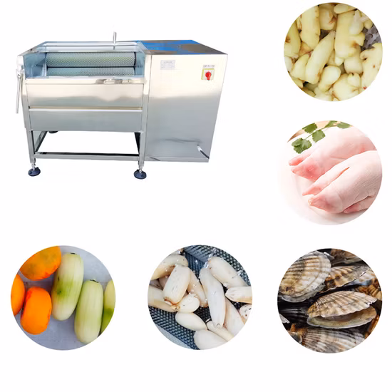 Fruit and Vegetable Roller Washing Machine Ginger Potato Peeling Machine