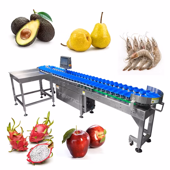 Ty-Jyh103p85-01-12 Fruit Accurate Weight Grading Machine