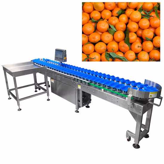 Ty-Jyh103p85-01-12 Fruit Accurate Weight Grading Machine