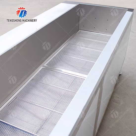 Ultrasonic Fruit and Vegetable Ozone Washer for Sale