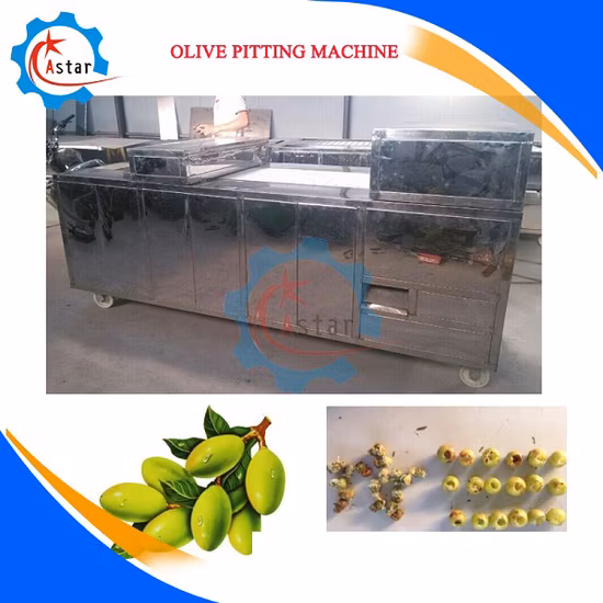 Full Automatic Stainless Steel Fruit Cherry Pitting Machine
