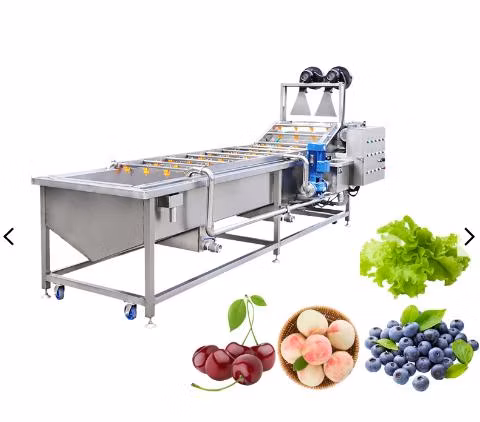 Industry Multi-Functional Bubble Vegetable Cleaning Machine Vegetable Washer Fruit Washing Machine
