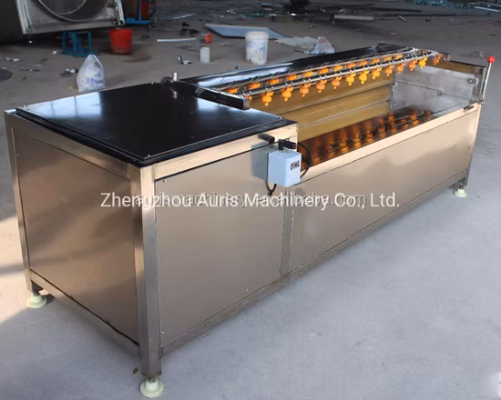 Multi-Function Vegetable Ginger Potato Carrot Washing Cleaning Peeling Machine Aweet Potatoes Skin Removing Machine