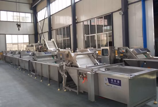 Factory Price Industrial Date Apple Carrot Fruit and Vegetable Washing Cleaning Machine Sweet Potato Washer for Sale