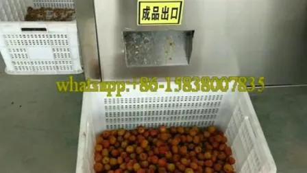 Fruit Pitting Peach Cherry Corer Apricot Stoner Apple Corer Remove Machine