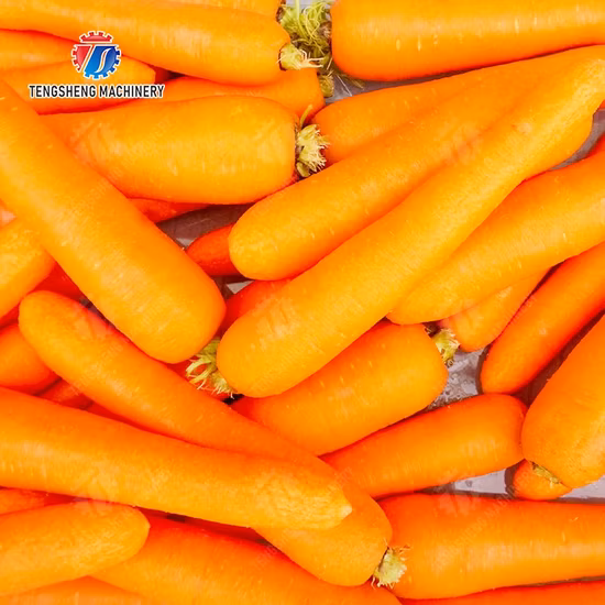 Vegetable Potato Peeler Washing Peeling Cleaning Machine
