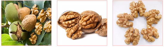 Automatic Nut Pistachio Pecans Walnut Shelling Peeling Cracking Machine