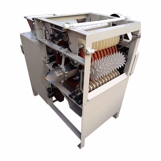 Cashew Nut Processing Machine Plant Production Line Cashew Peeling Machine From Camy