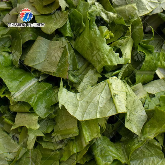 Vegetable and Fruit Electric Cutting Machine Commercial Fruit Cutting Machine Food Machine Processing Machinery