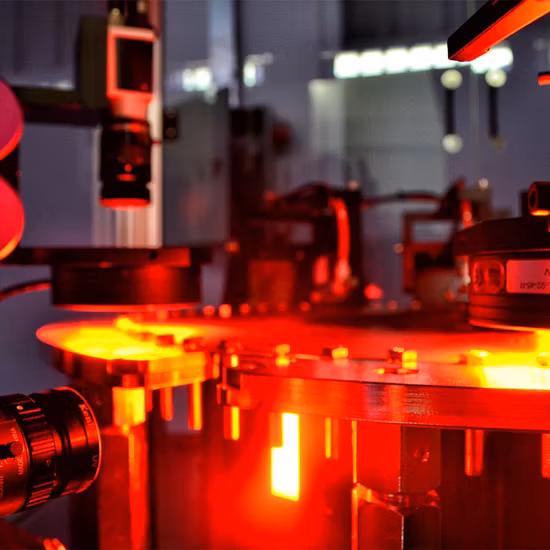 Large Capacity Garlic Potato Tomato Grading Machine Pomegranate Sorting Machine