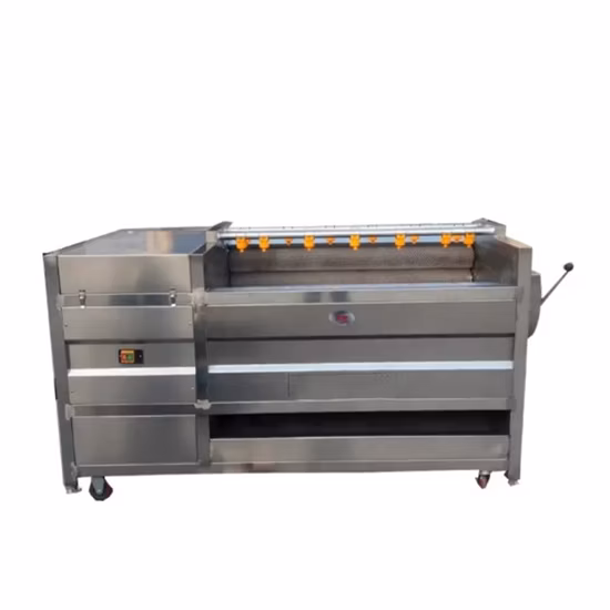 Brush Root Vegetable Washing Machine Cleaning Machine Ginger Peeling Machine